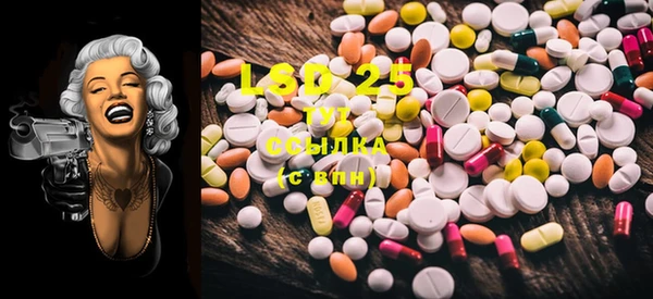 PSILOCYBIN Абдулино