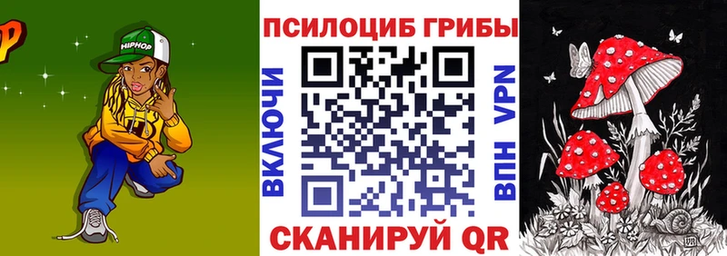 Галлюциногенные грибы Psilocybine cubensis  Сольвычегодск 